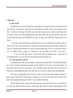 Nghiên cứu hiện trạng môi trường và đề xuất các giải pháp sản xuất sạch hơn tại công ty sản xuất bột sắn Thủ Đức