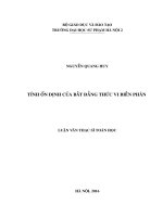 Tính ổn định của bất đẳng thức vi biến phân (LV01899)