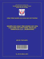 Nghiên cứu hoạt tính kháng oxy hóa của thân cây gáo vàng, nauclea orientalis 