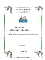 Software Reengineering (Tái kỹ nghệ phần mềm)