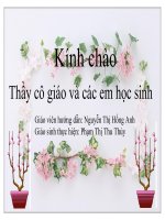 giáo án điện tử Tác Gia Nam Cao