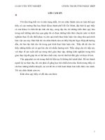 luan văn Máy ép viên Chấu