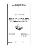 Luận văn  SO SÁNH HIỆU QUẢ KINH tế của mô HÌNH lúa 2 vụ và mô HÌNH lúa 3 vụ ở tân HỒNG ĐỒNG THÁP 