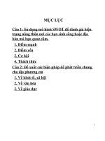 Kinhtenongthon_Sử dụng mô hình SWOT để đánh giá hiện trạng nông thôn nơi các bạn sinh sống hoặc địa bàn mà bạn quan tâm.