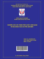 Nghiên cứu cải thiện tính chất cảm quan về độ sáng của cà phê lên men 