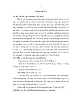 Tiểu luận nghiên cứu đặc điểm dịch tễ học tật khúc xạ và đánh giá hiệu quả một số biện pháp can thiệp ở học sinh 6   15 tuổi tại thành phố hà nội (2007   2009) 