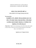 NGHIÊN CỨU, PHÂN TÍCH, ĐÁNH GIÁ CÁC YẾU TỐ SINH THÁI ẢNH HƯỞNG TỚI HÀM LƯỢNG ROTUNDIN TRONG CỦ BÌNH VÔI TRỒNG Ở VƯỜN PILOT