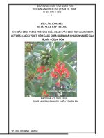 Báo cáo tổng kết đề tài NCKH cấp trường: Nghiên cứu tăng trưởng của loài cây tóc đỏ (Lumnitzera Littorea (Jack) Voigt) với các chế độ muối khác nhau ở giai đoạn vườn ươm