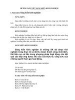 HUONG DAN LAM SANG KIEN KINH NGHIEM