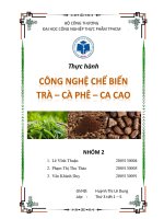 Báo cáo thực hành   trà cà phê ca cao   lớp thứ 3 buổi sáng   n