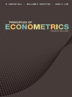 Principles of econometrics fourth edition