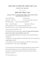 Đơn xin thực tập  sinh viên Ngoại Thương