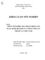 Phân tích hiệu quả hoạt động sản xuất kinh doanh của tổng công ty thuốc lá việt nam 