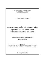 Hoạch định ngân sách hàng năm tại công ty cổ phần thép thái bình dương   đà nẵng 