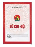Mẫu sổ chi đội  Hướng dẫn viết sổ chi đội