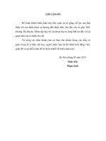Nghệ thuật trần thuật trong Cánh đồng bất tận