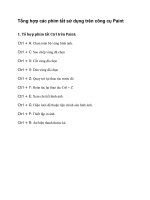 Tổng hợp các phím tắt sử dụng trên công cụ paint