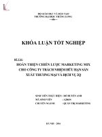 Hoàn thiện chiến lược marketing mix cho công ty TNHH sản xuất thương mại và dịch vụ 2q 
