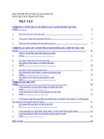 BÁO cáo tóm tắt rà SOÁT các QUY ĐỊNH của