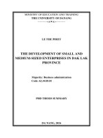 THE DEVELOPMENT OF SMALL AND MEDIUM SIZED ENTERPRISES IN DAK LAK PROVINCE