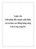 Luận văn giải pháp đẩy mạnh xuất khẩu cá tra khu vực đồng bằng sông cửu long sang EU 