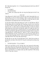 ASEAN Bình luận công thức: X; 2 + X