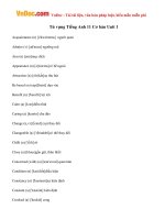 Từ vựng tiếng Anh lớp 11 Unit 1: Friendship