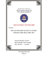 BÁO cáo TỔNG hợp tại CÔNG TY cổ PHẦN TINH HOA NGHỆ THUẬT THÊU VIỆT