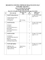 BỘ KHUNG CHƯƠNG TRÌNH kế HOẠCH GIẢNG dạy 