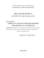 NGHIÊN CỨU, ĐÁNH GIÁ THEO DÕI TÌNH HÌNH SINH TRƯỞNG CỦA CÂY BÌNH VÔI