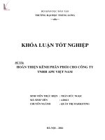 Hoàn thiện kênh phân phối cho công ty TNHH APE việt nam 
