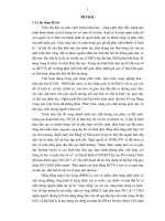 Quản lý đào tạo từ xa đáp ứng nhu cầu nhân lực trình độ đại học vùng đồng bằng sông cửu long 