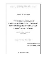 Tuyển chọn và khảo sát khả năng sinh amylase của một số chủng nấm sợi từ rừng ngập mặn cần giờ TP  hồ chí minh 