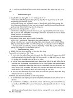 đương lối bài tự soạn