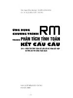 ỨNG DỤNG CHƯƠNG TRÌNH RM TRONG PHÂN TÍCH TÍNH TOÁN KẾT CẤU CẦU TẬP 2