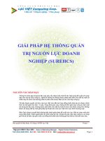 Giải pháp hệ thống quản trị nguồn lực doanh nghiệp