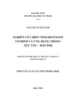 NGHIÊN CỨU BIẾN TÍNH BENTONIT CỔ ĐỊNH VÀ ỨNG DỤNG TRONG XÚC TÁC – HẤP PHỤ