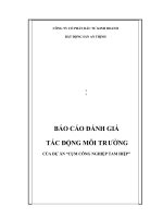 BÁO CÁO ĐÁNH GIÁ     TÁC ĐỘNG MÔI TRƯỜNG    CỦA DỰ ÁN “CỤM CÔNG NGHIỆP TAM HIỆP”