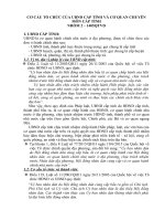 Cơ cấu tổ chức của UBND cấp tỉnh và cơ quan chuyên môn cấp tỉnh