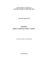 Mở rộng định lý điểm bất động caristi 