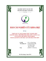 THIẾT KẾ CÁC HOẠT ĐỘNG HỌC TẬP HÓA HỌC  CHƯƠNG NITO  PHOTPHO HÓA HỌC LỚP 11NÂNG CAO  CÓ SỬ DỤNG HỆ THỐNG THÍ NGHIỆM  NHẰM TẠO HỨNG THÚ HỌC TẬP CHO HỌC SINH THPT