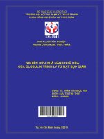 Nghiên cứu khả năng nhũ hóa của globulin trích ly từ hạt bụp giấm 
