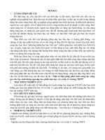 Tóm tắt luận: Một số biện pháp phát triển năng lực sáng tạo cho học sinh thông qua dạy học phần hóa học vô cơ lớp 11 trường THPT