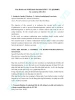 tóm tắt báo cáo nghiên cứu khách hàng tiếng anh 