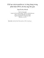 Chế tạo microcantilever và ứng dụng trong phát hiện DNA chỉ thị ung thư gan 