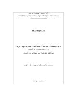 Thực trạng bạo hành đối với người cao tuổi trong gia đình đô thị hiện nay (nghiên cứu tại thành phố vinh, tỉnh nghệ an) 