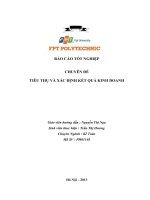 BÁO CÁO TỐT NGHIỆP: TIÊU THỤ VÀ XÁC ĐỊNH KẾT QUẢ KINH DOANH (Đại học FPT)