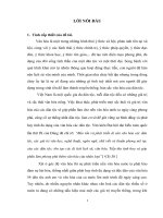 khoá luận tốt nghiệp bảo tồn và phát huy bản sắc văn hoá của dân tộc tháii