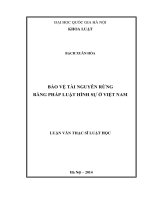 Bảo vệ tài nguyên rừng bằng pháp luật hình sự ở việt nam 