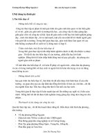 bai bao cao thu hoach 2016